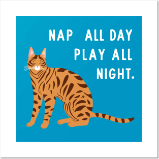 Bengal Cat Nap all Day, Play all Night Posters and Art